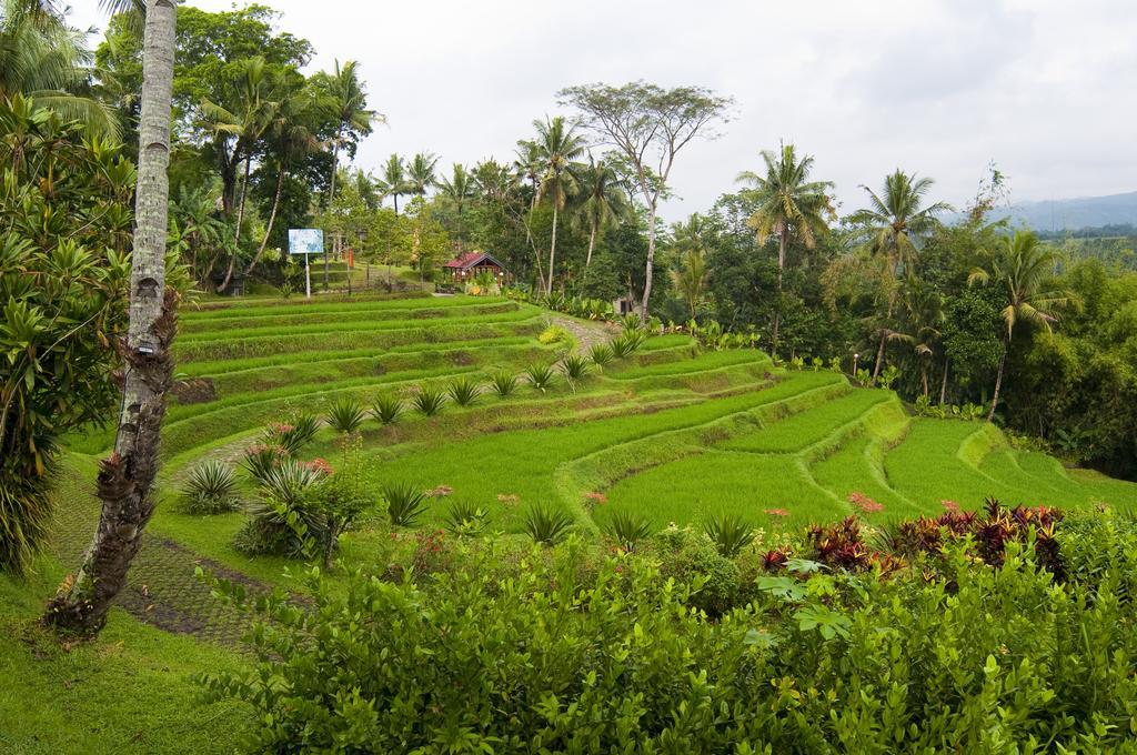 Puri Asri Hotel&Resort Magelang Exterior foto